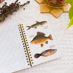 Judgy Fish: A Sticker Book